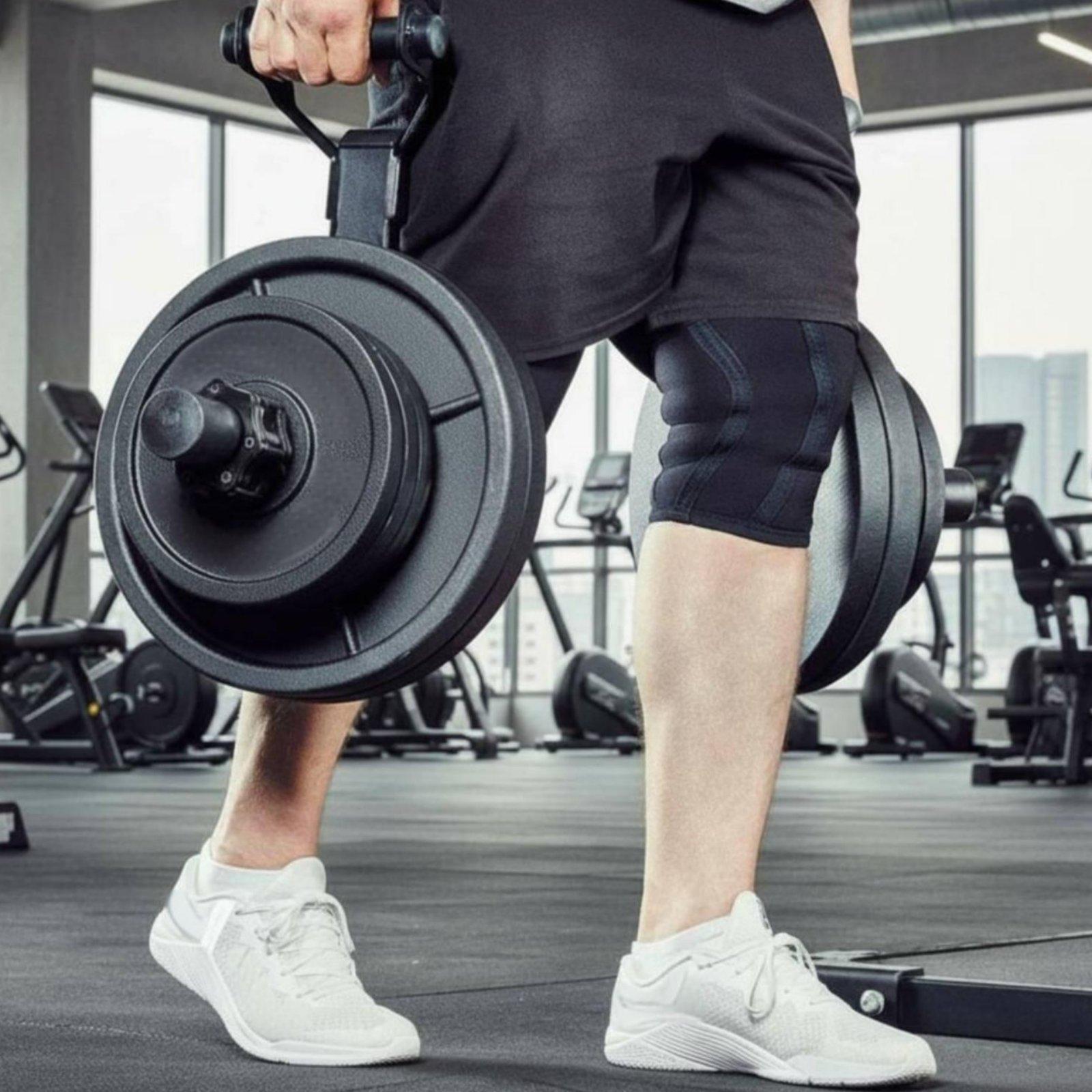 Multi-size Barbell Plate Holde - Fitness Home Gym Equipment ulasan dan harga