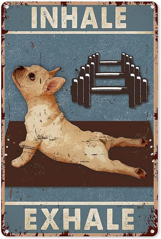 Dog Yoga Metal Tin Sign, Inhal - Home Gym In Garage ulasan dan harga